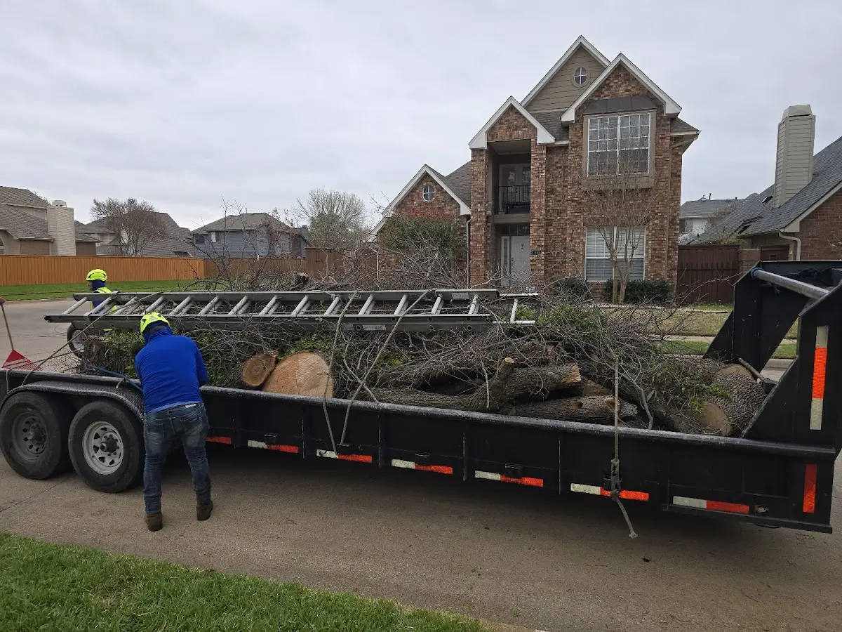Expert Tree Removal with proper safety equipment in Paulding